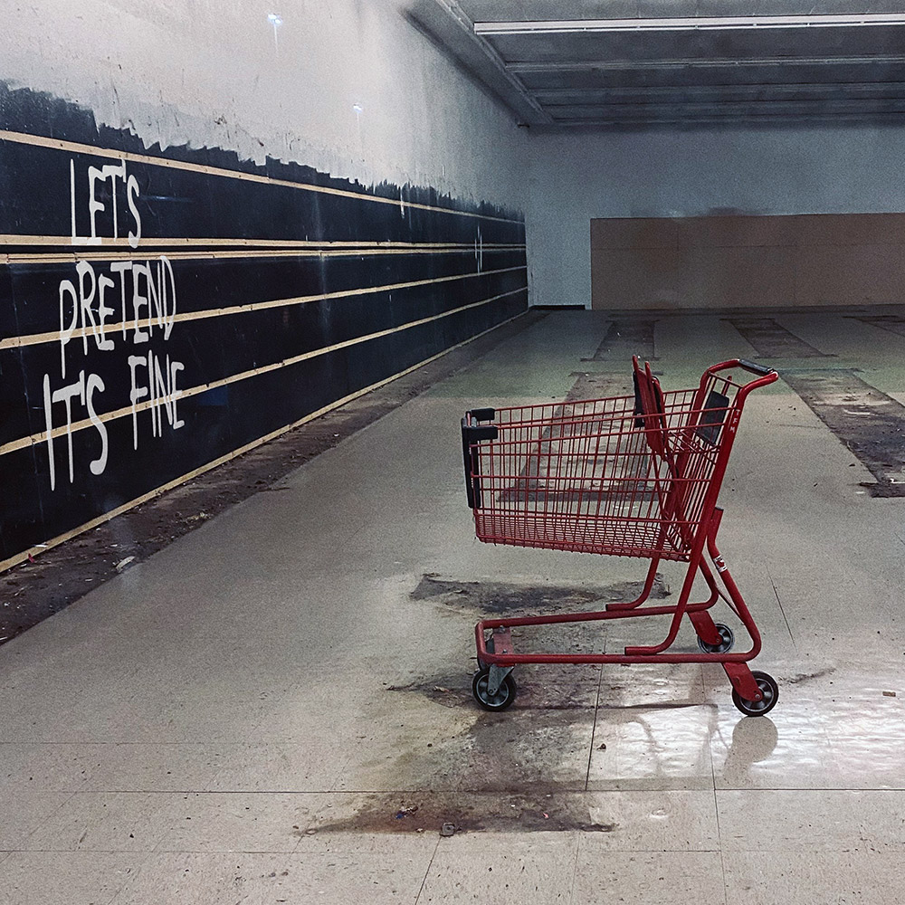 Let's Pretend It's Fine shopping cart cover